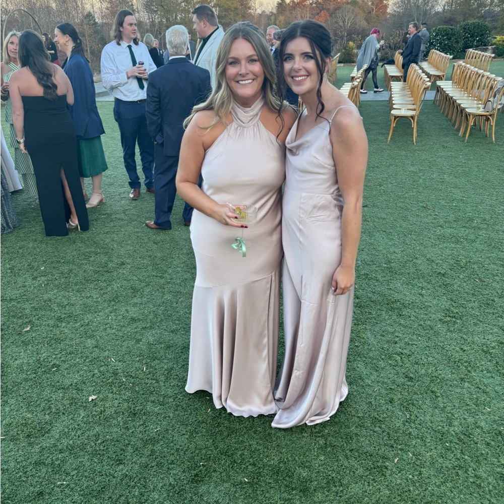 Birdy Grey Matte Satin Taupe Eileen Dress (slightly altered)